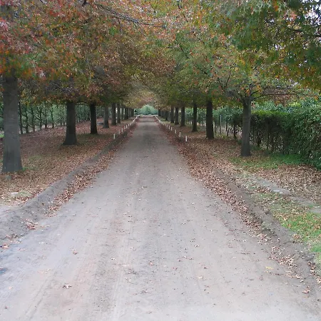 Induku Villa Stellenbosch Buitenkant foto