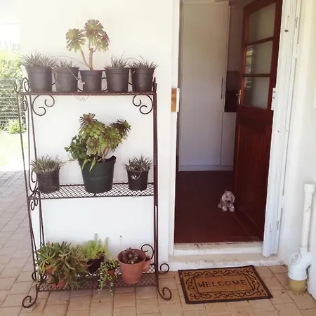 Induku Villa Stellenbosch Buitenkant foto