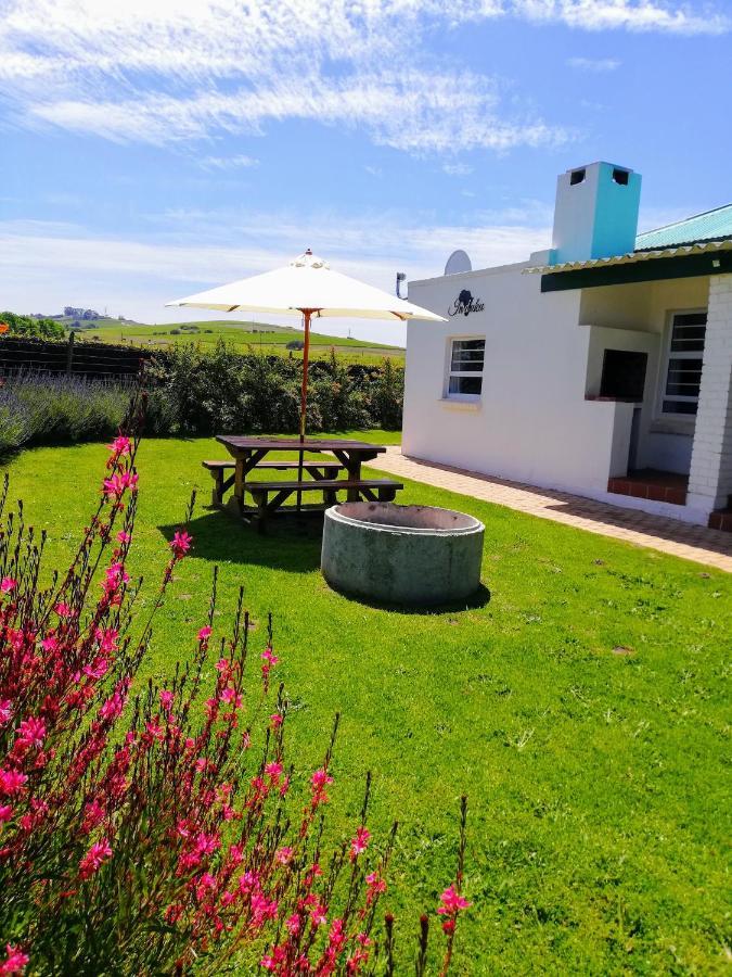 Holiday home Induku *