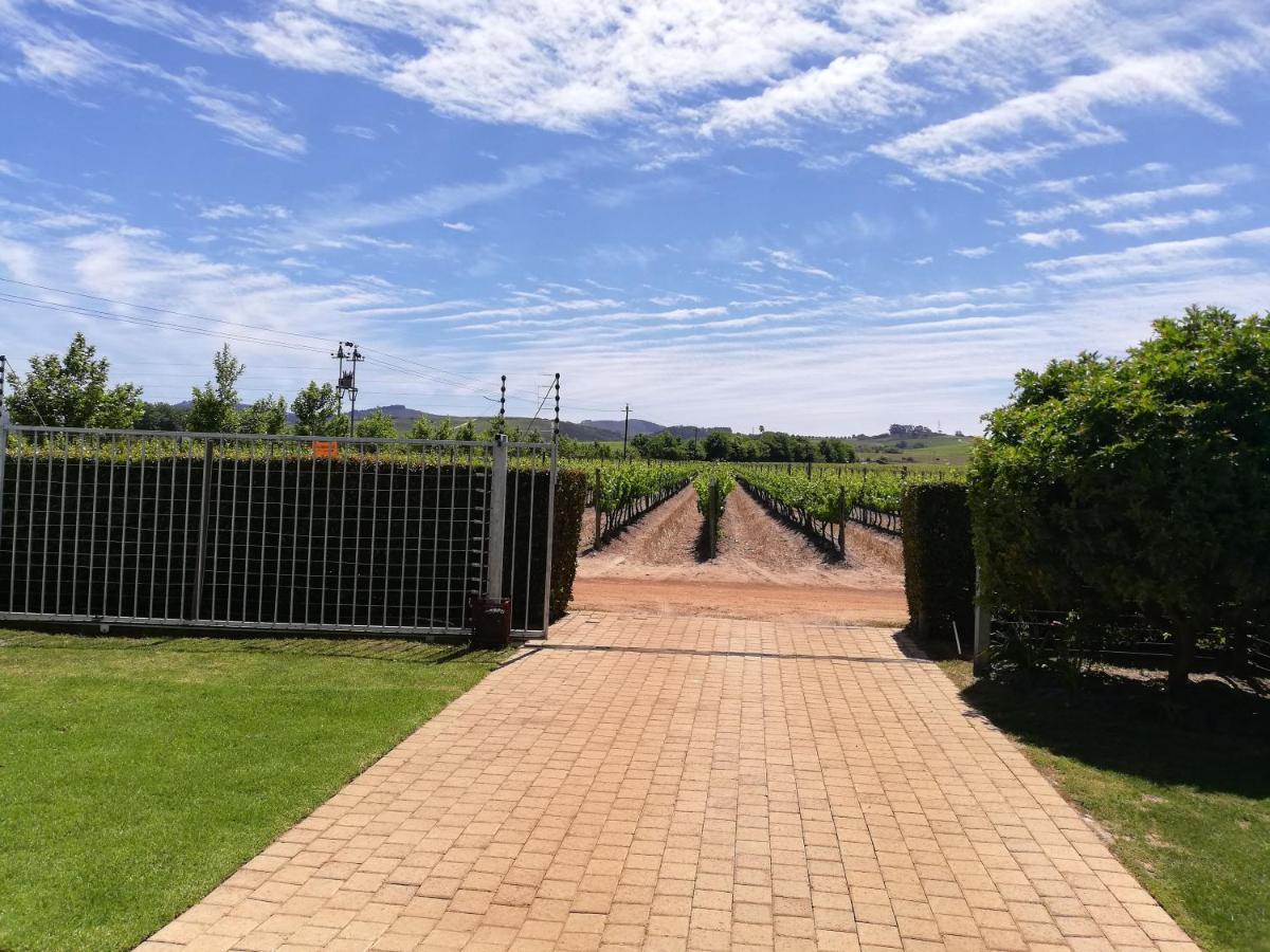 Induku * Stellenbosch