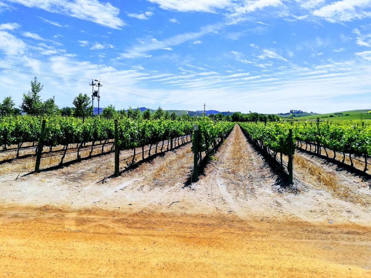 Induku Stellenbosch
