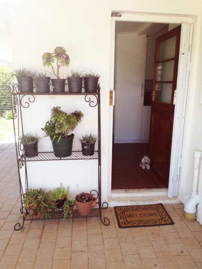Induku Stellenbosch